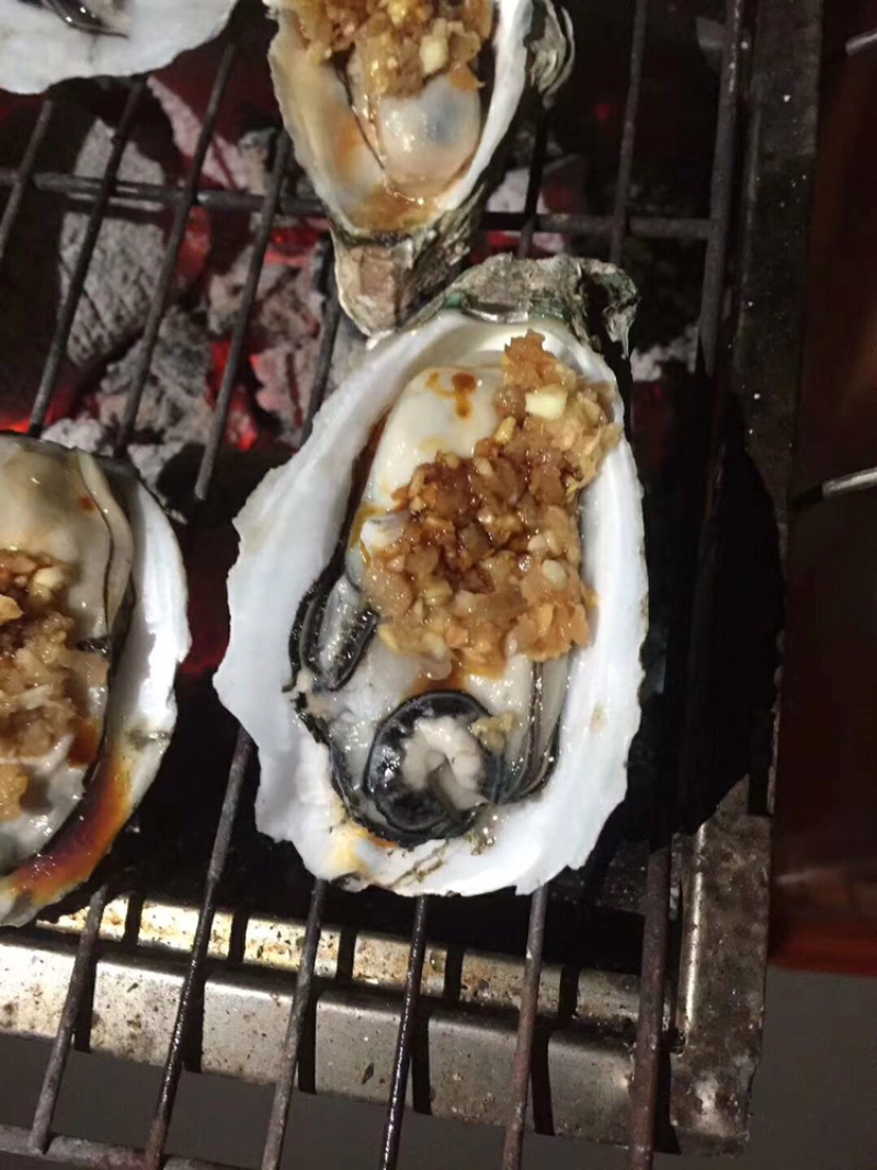 新鲜生蚝鲜活海蛎子烧烤贝类全壳蚝每天新鲜