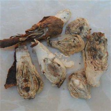 石蒜，常年批发供应冷背中药材石蒜量大从优货真价实