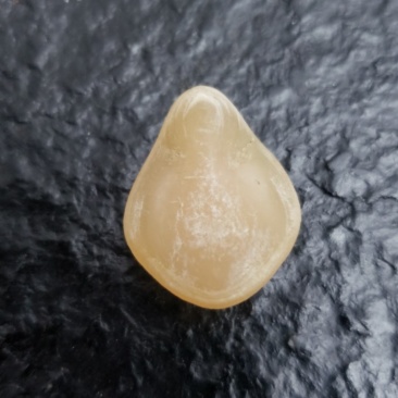青鱼