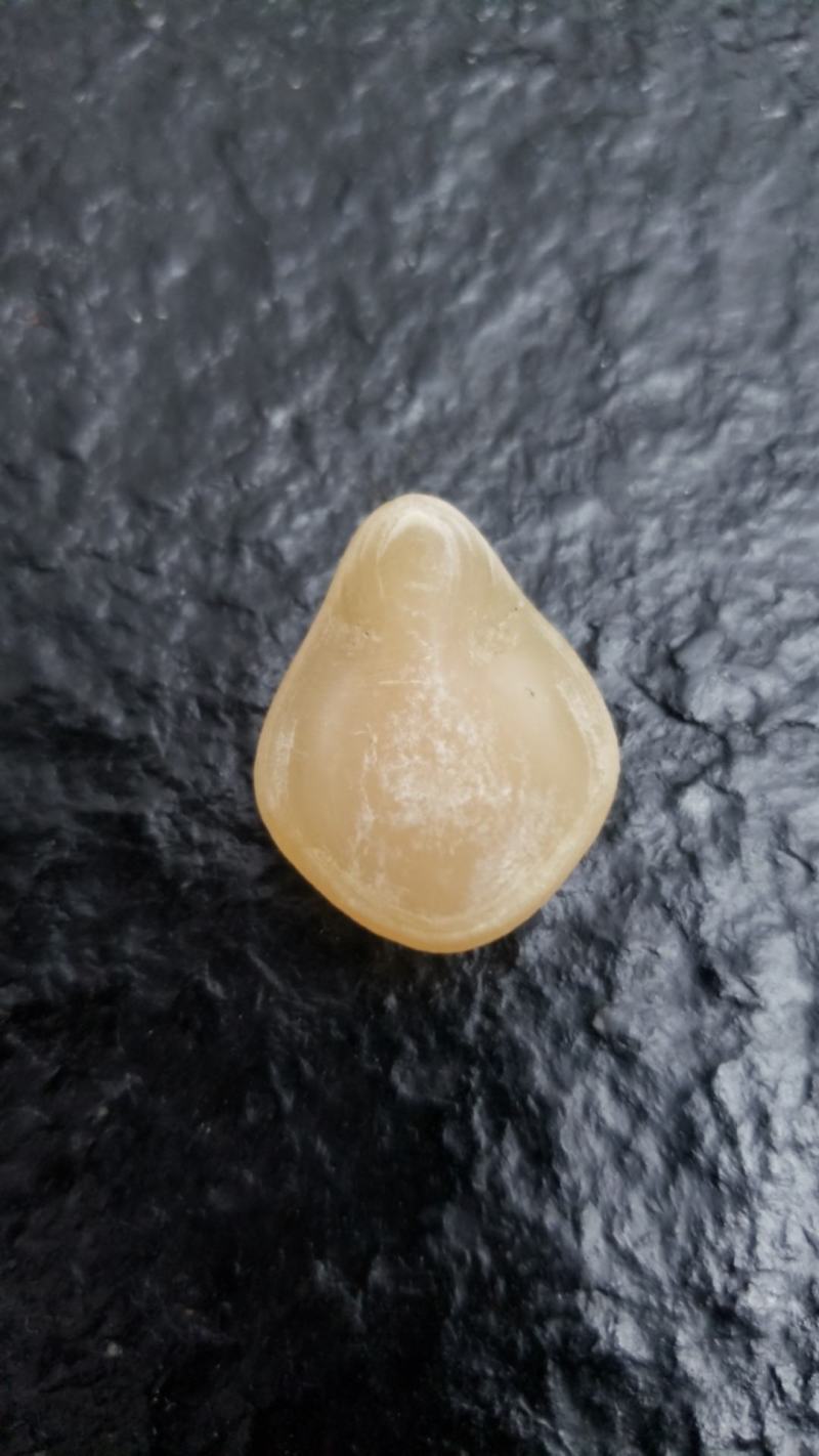 青鱼