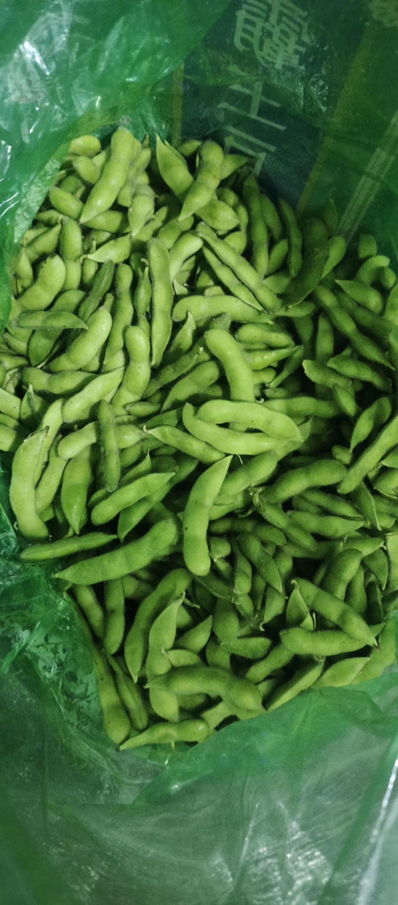 万亩👉精品毛豆👈，开心绿～绿宝石，翠绿宝，物流全国