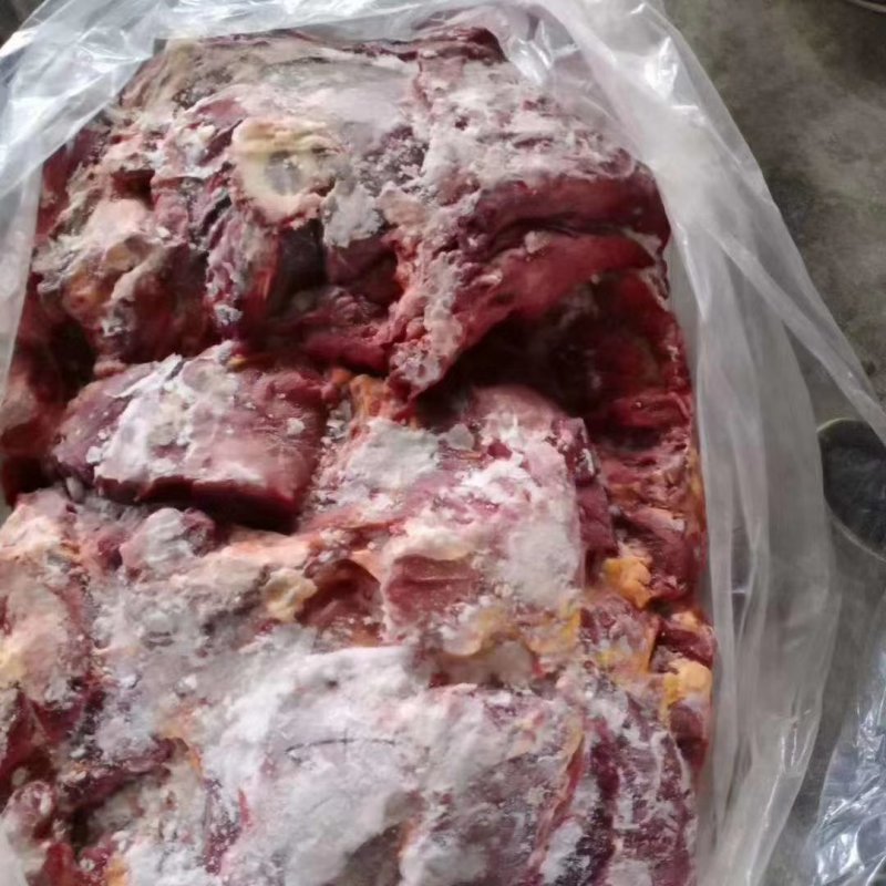 蒙古马肉，亿蒙康蒙古马肉，活马吊宰，区分老口小口