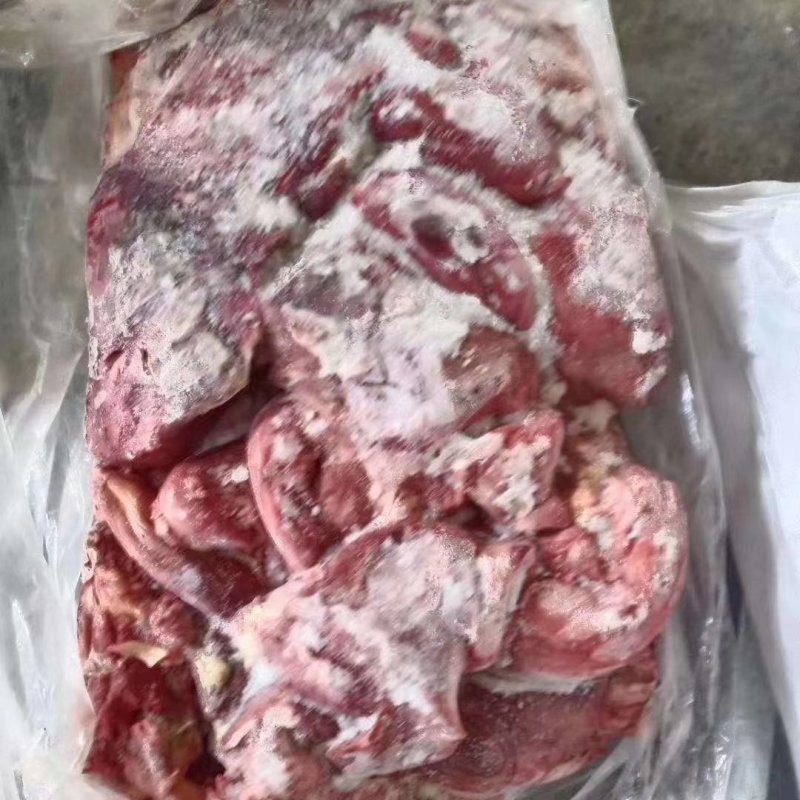 蒙古马肉，亿蒙康蒙古马肉，活马吊宰，区分老口小口