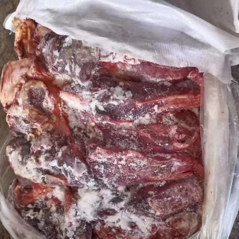 蒙古马肉，亿蒙康蒙古马肉，活马吊宰，区分老口小口