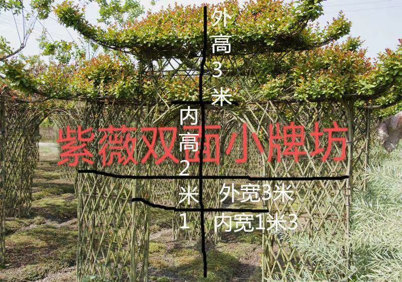 苗圃处理紫薇造型紫薇牌坊紫薇大门处理价低价