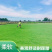 常年供应四季青马尼拉台湾草皮工程庭院绿化