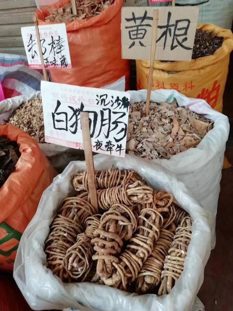 野生白狗肠，夜牵牛，苦参
