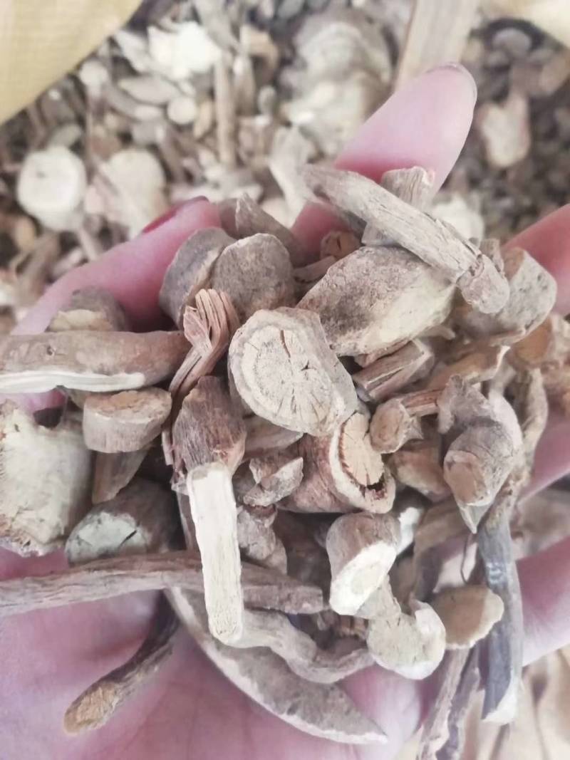 野生白狗肠，夜牵牛，苦参