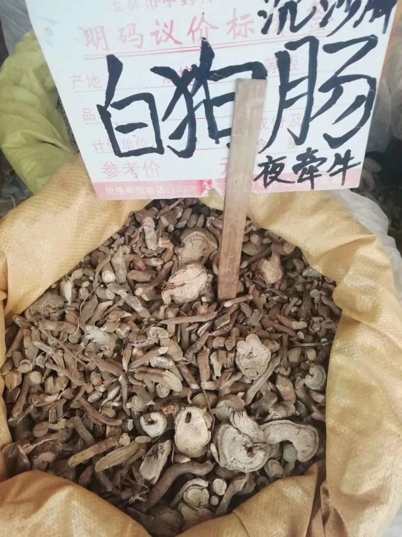 野生白狗肠，夜牵牛，苦参
