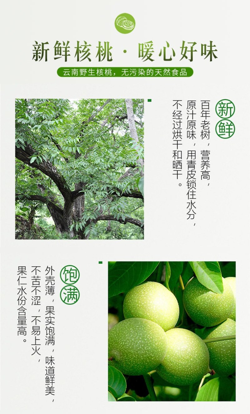 农伯惠云商直供展销会赶大火爆模式云南新鲜核桃薄壳干核桃