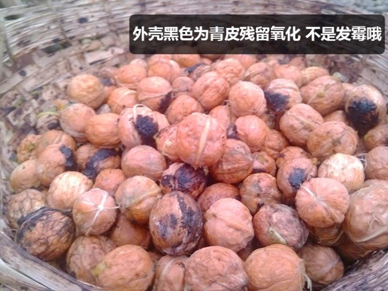 农伯惠云商直供展销会赶大火爆模式云南新鲜核桃薄壳干核桃