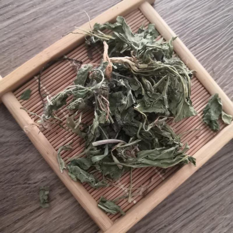 紫花地丁中药材批发紫花地丁