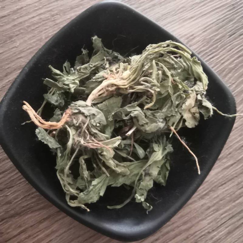 紫花地丁中药材批发紫花地丁