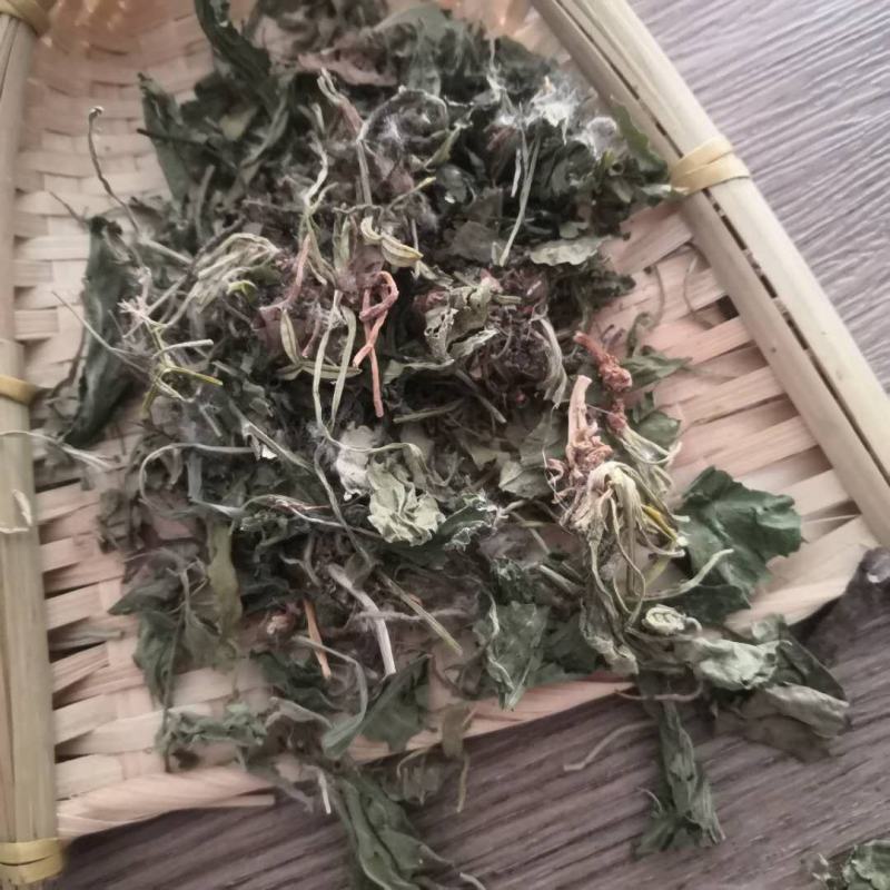 紫花地丁中药材批发紫花地丁