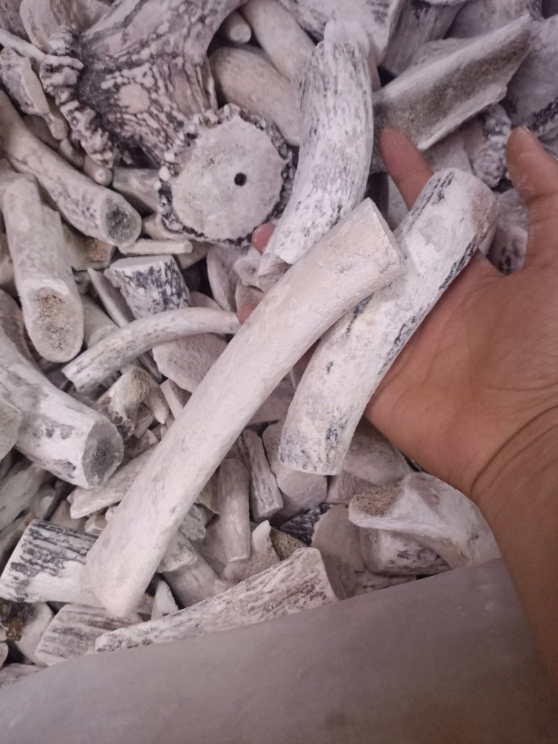 鹿角霜各种规格不掺假纯正品