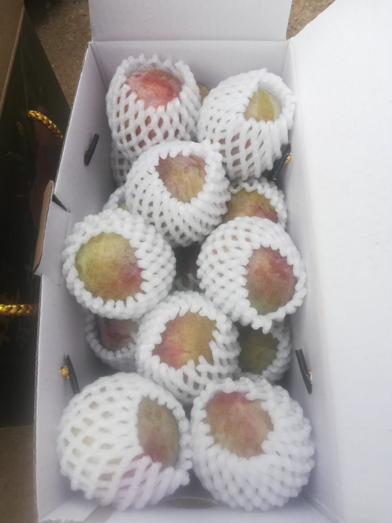 江南名果桃形李