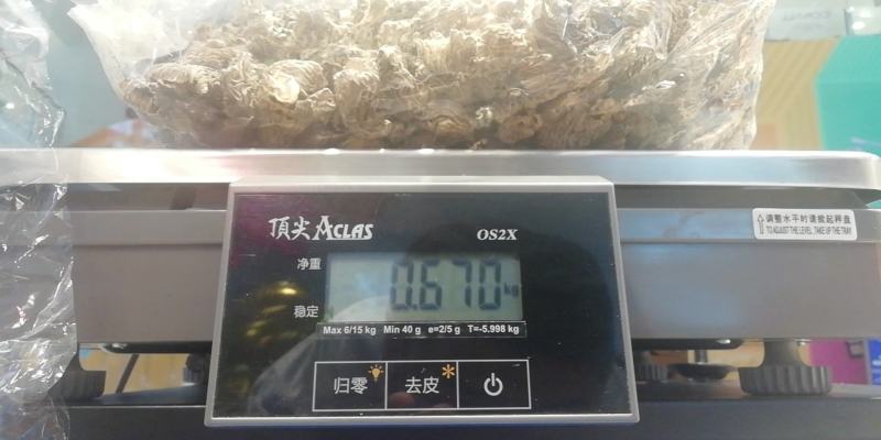 中亚野生羊肚菌代收代发可拿样100g/袋预售中可谈价