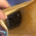 中亚野生羊肚菌代收代发可拿样100g/袋预售中可谈价