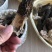 中亚野生羊肚菌代收代发可拿样100g/袋预售中可谈价