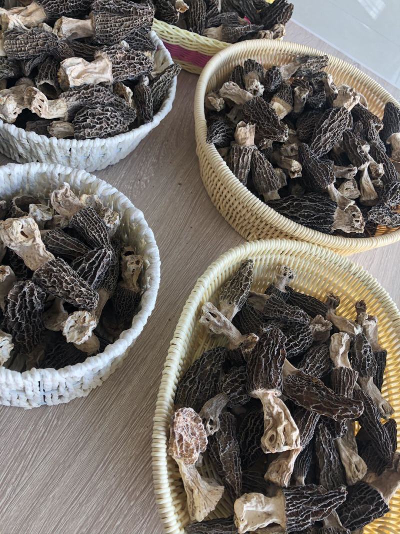 中亚野生羊肚菌代收代发可拿样100g/袋预售中可谈价