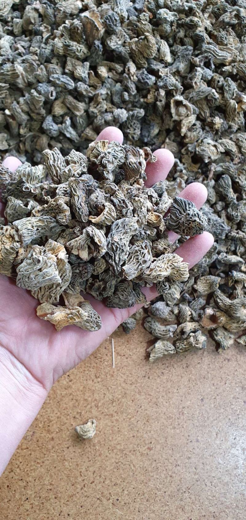 中亚野生羊肚菌代收代发可拿样100g/袋预售中可谈价