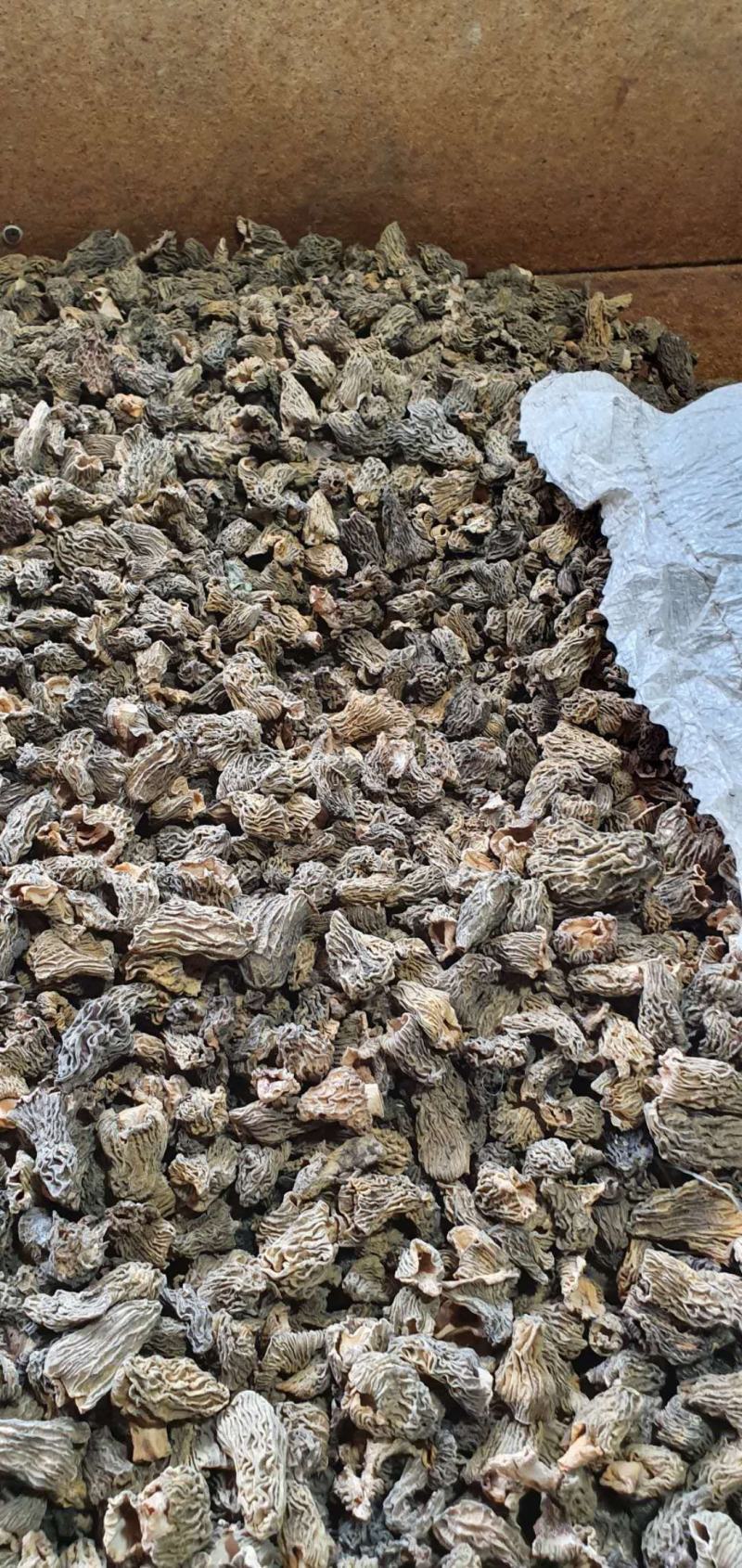 中亚野生羊肚菌代收代发可拿样100g/袋预售中可谈价