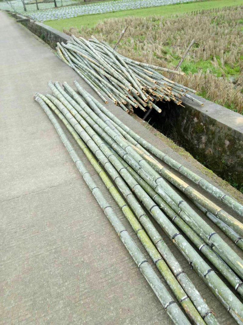 楠竹杆