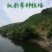 嵊州金庭江南名果桃形李