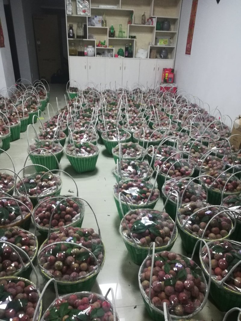 嵊州金庭江南名果桃形李