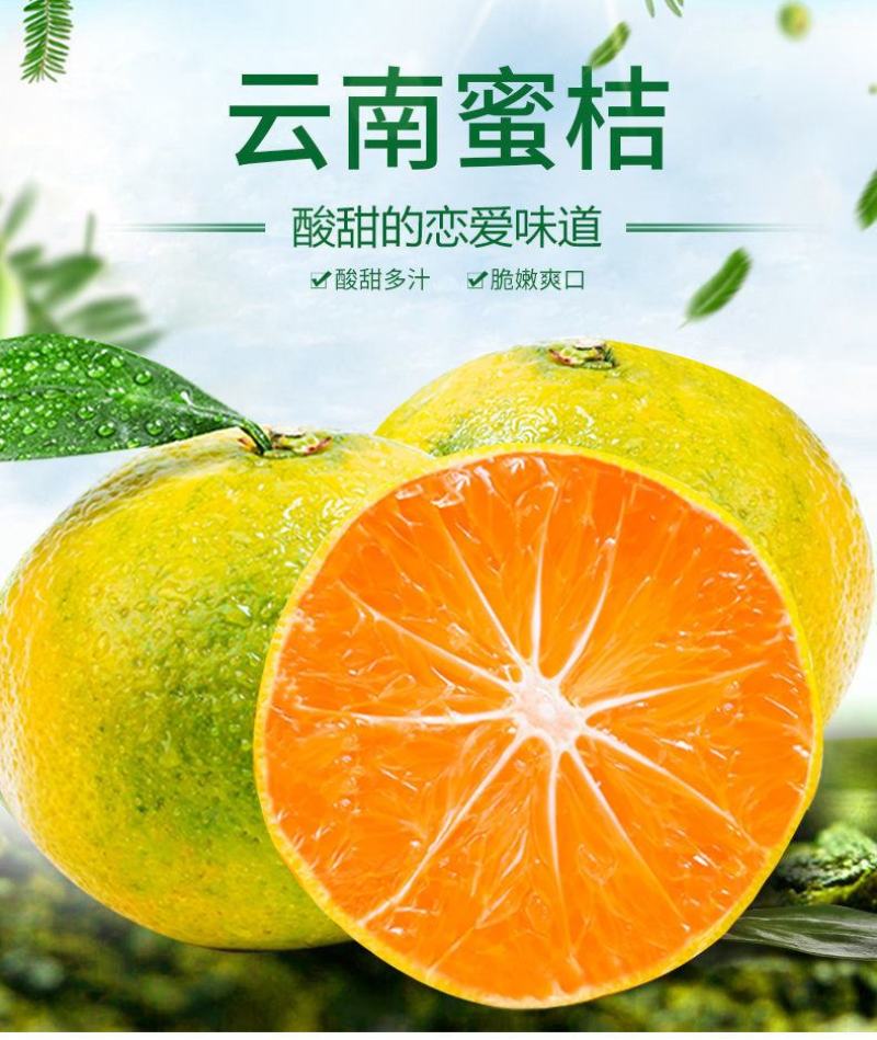 云南高原早熟蜜橘