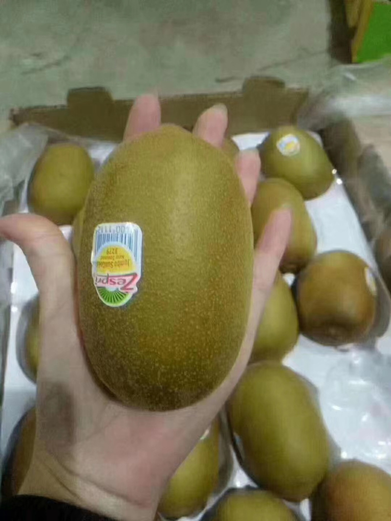 新西兰佳沛金果