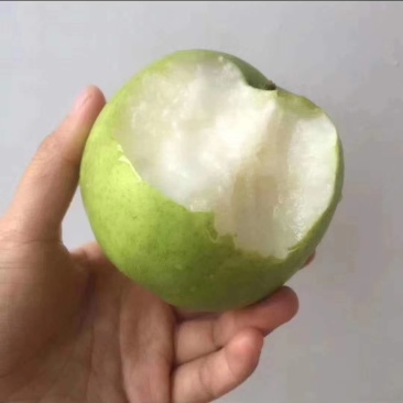 翠玉梨