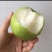 翠玉梨