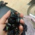 竹蜂，全干无糖无油