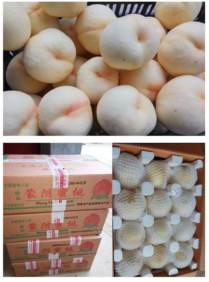 蒙阴白桃产地直发坏果包赔售后有保障