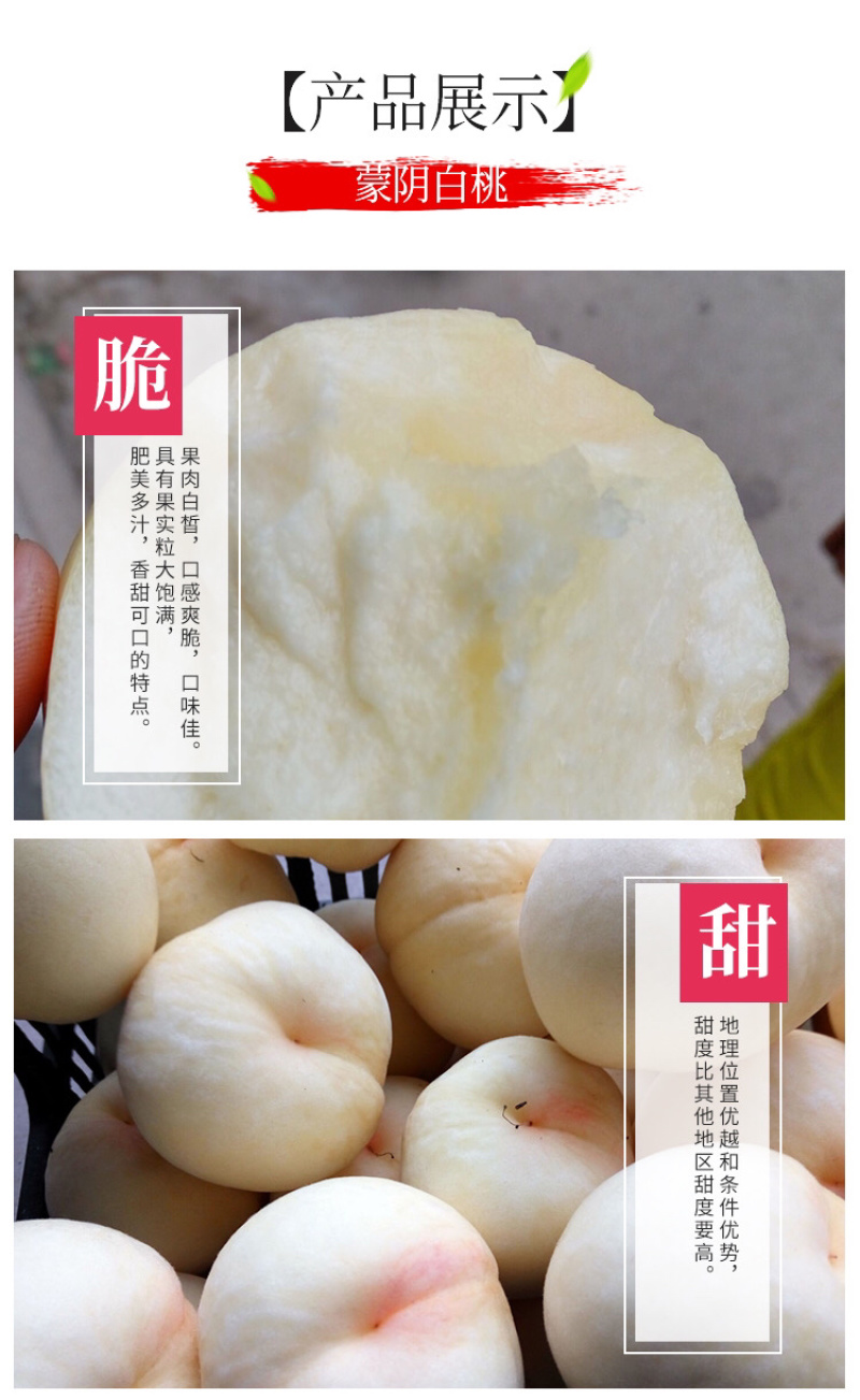 蒙阴白桃产地直发坏果包赔售后有保障
