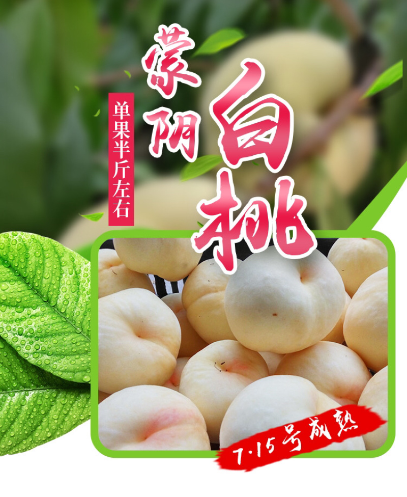蒙阴白桃产地直发坏果包赔售后有保障