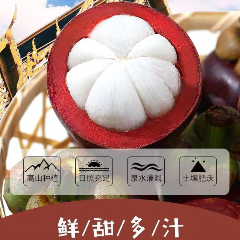 泰国🇹🇭进口山竹5A新鲜水果包邮，一件代发