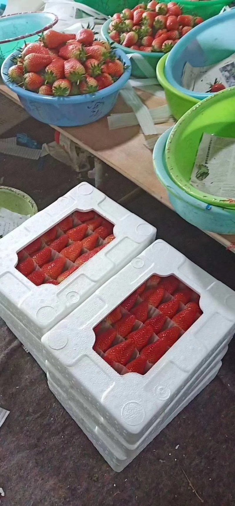 东兴泡沫箱