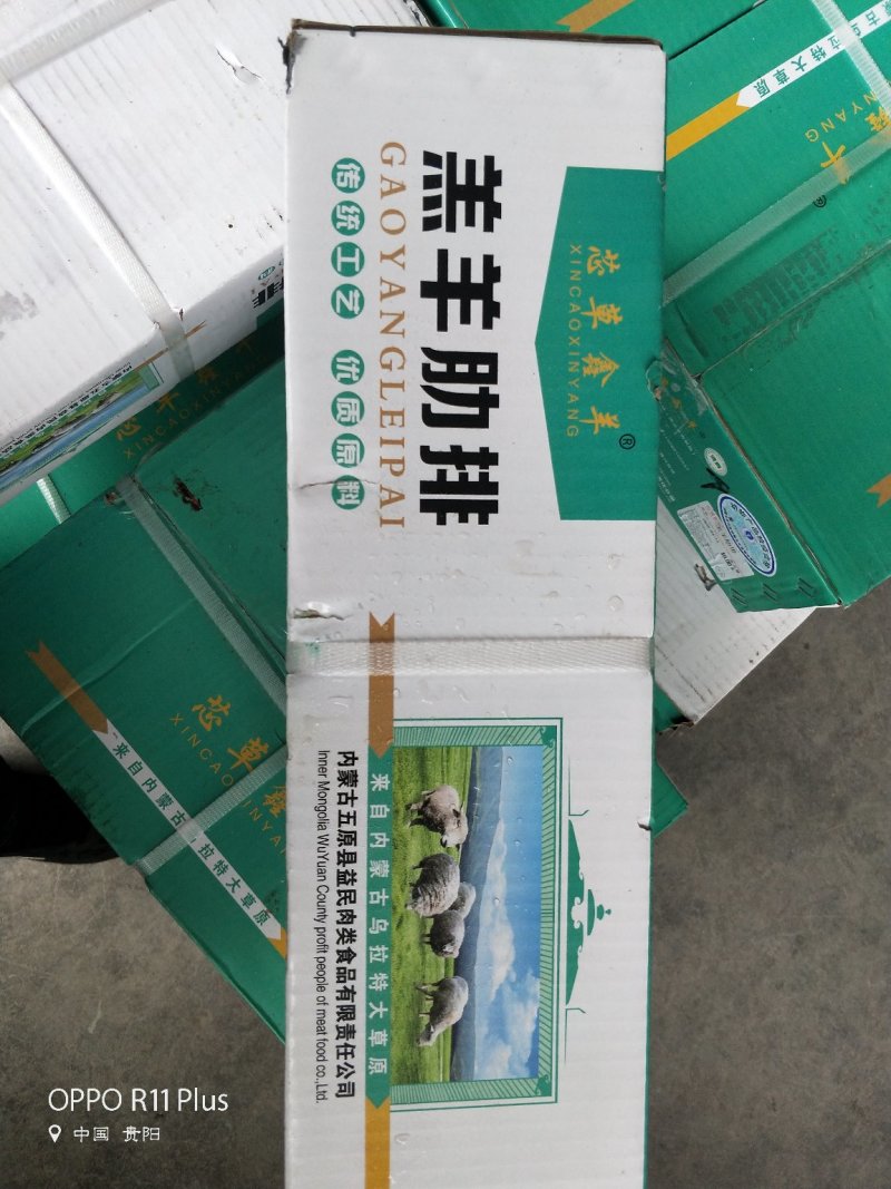 内蒙古芯草鑫羔羊肋排