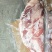 内蒙古芯草鑫羔羊肋排