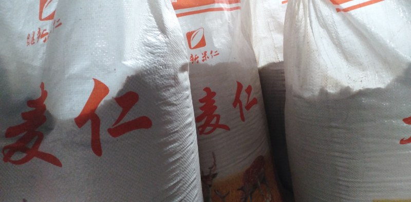麦仁面/熟品/大量批发工厂直销精选麦仁炒熟制粉