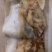 海鲜水产去沙鲨鱼皮丝500g