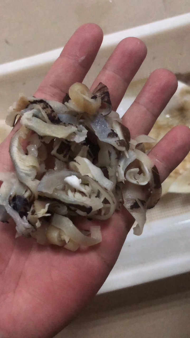海鲜水产去沙鲨鱼皮丝500g