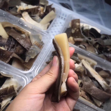 新鲜沙鱼皮，已去鲨，到手可吃