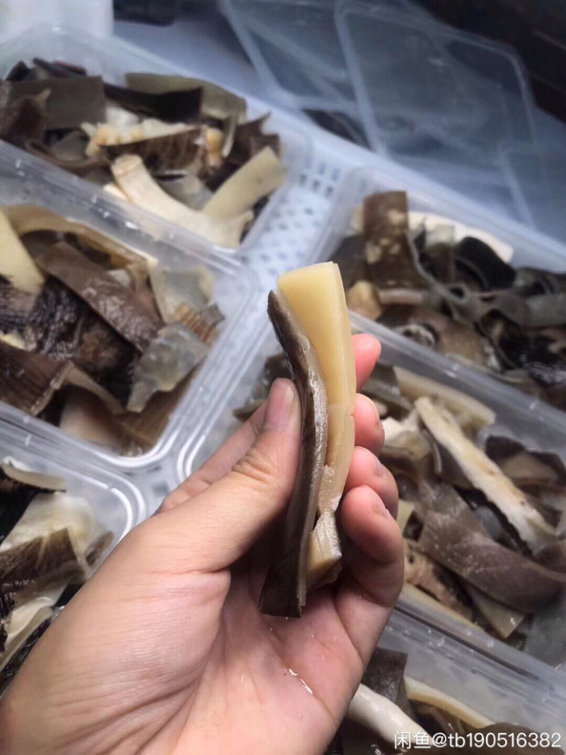 新鲜沙鱼皮，已去鲨，到手可吃