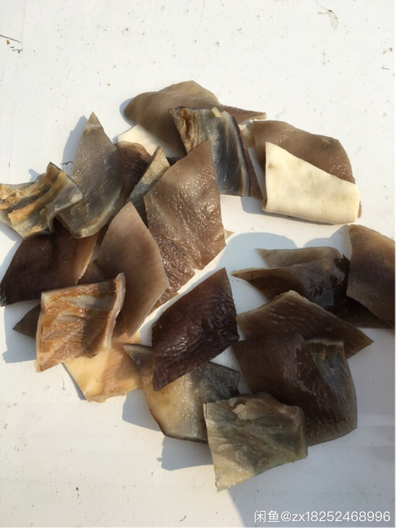 新鲜沙鱼皮，去鲨，到手可吃