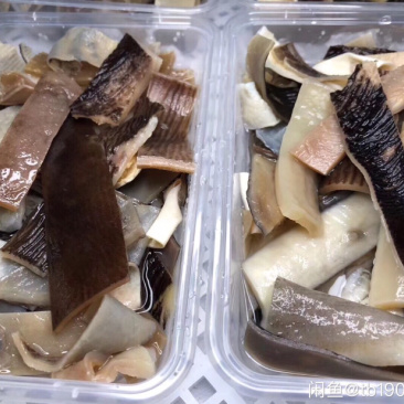 新鲜沙鱼皮，去鲨，到手可吃