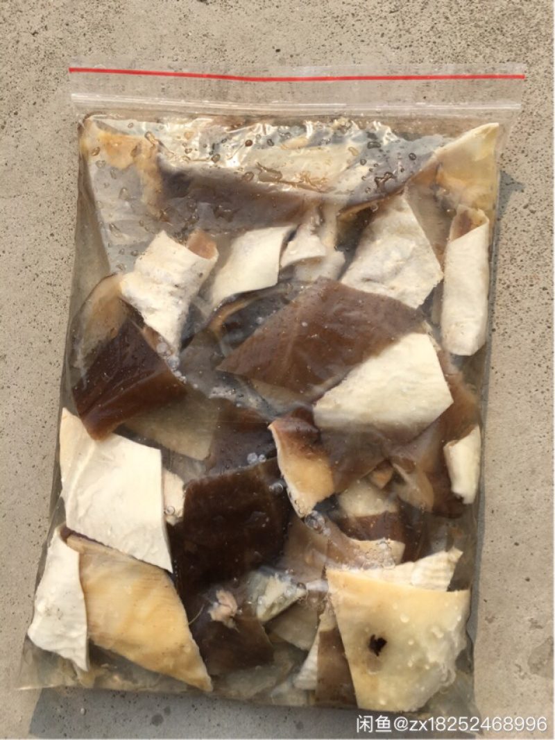 新鲜沙鱼皮，去鲨，到手可吃