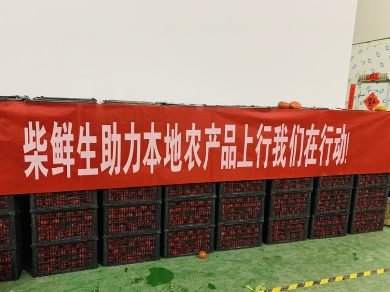 西红柿大量上市，欢迎各位老板前来下单